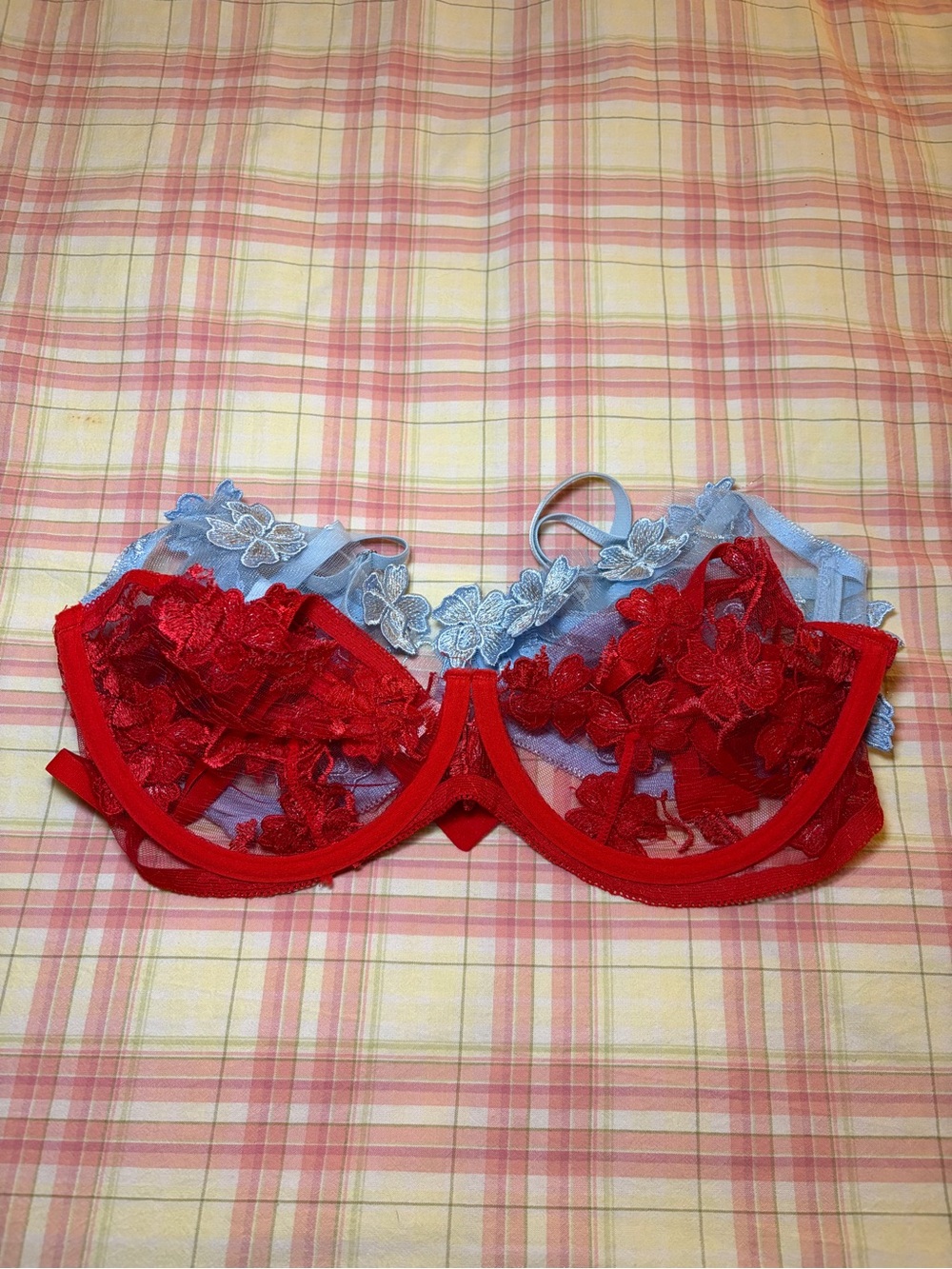 Red and Blue Lace Bras
